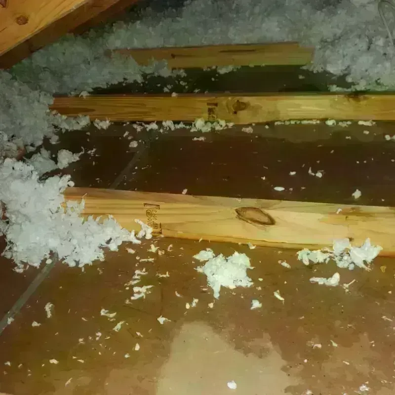 Attic Water Damage in Winslow, ME