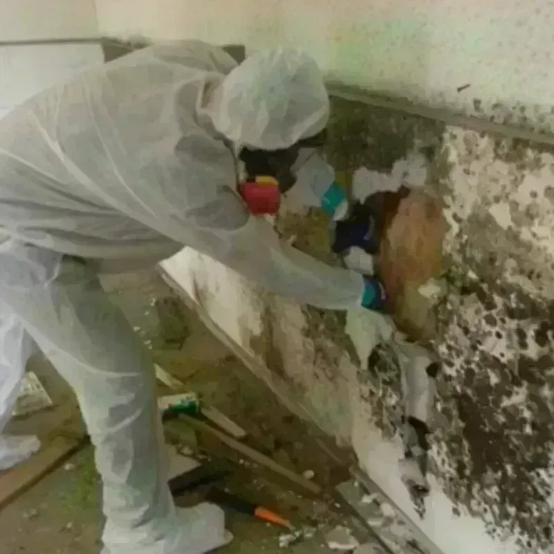 Mold Remediation and Removal in Winslow, ME