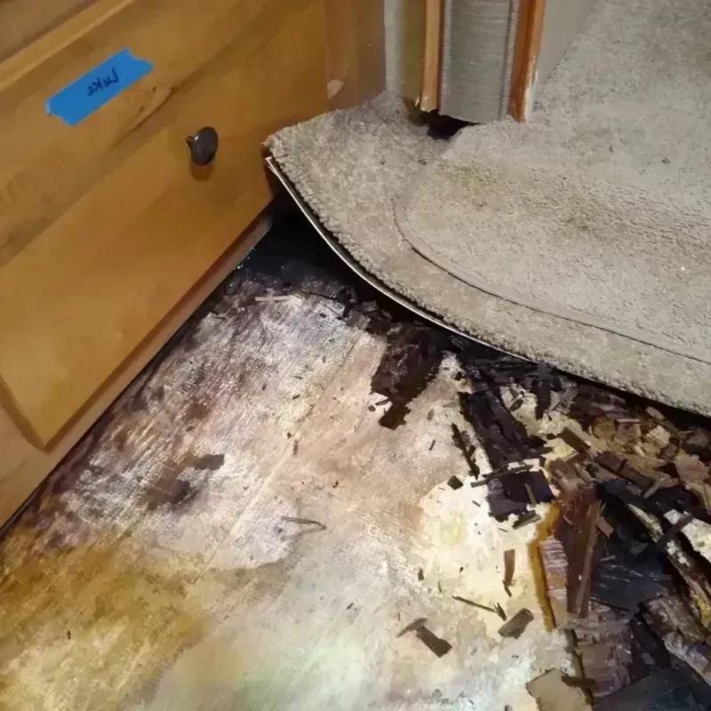 Best Wood Floor Water Damage Service in Winslow, ME